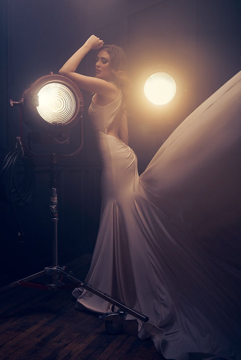 Woman in elegant gown, fashion portrait, dramatic lighting