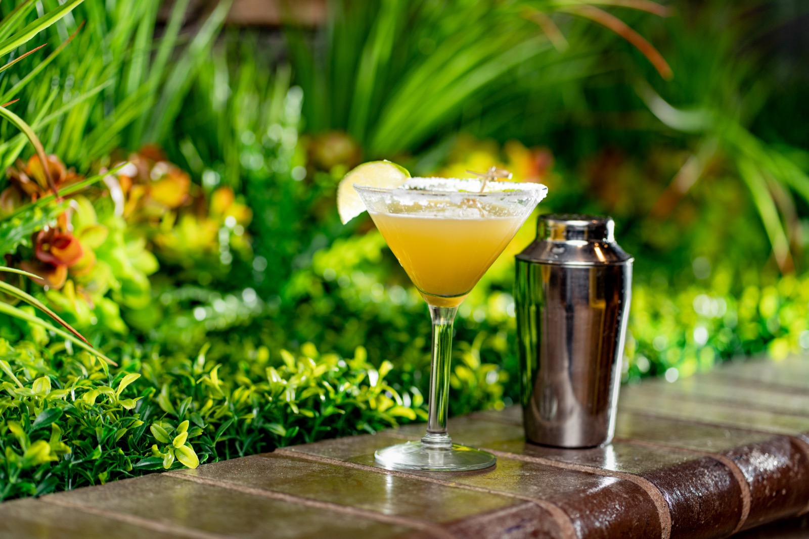 El Paso food photography portfolio image 46 by Jordan Licon Photography